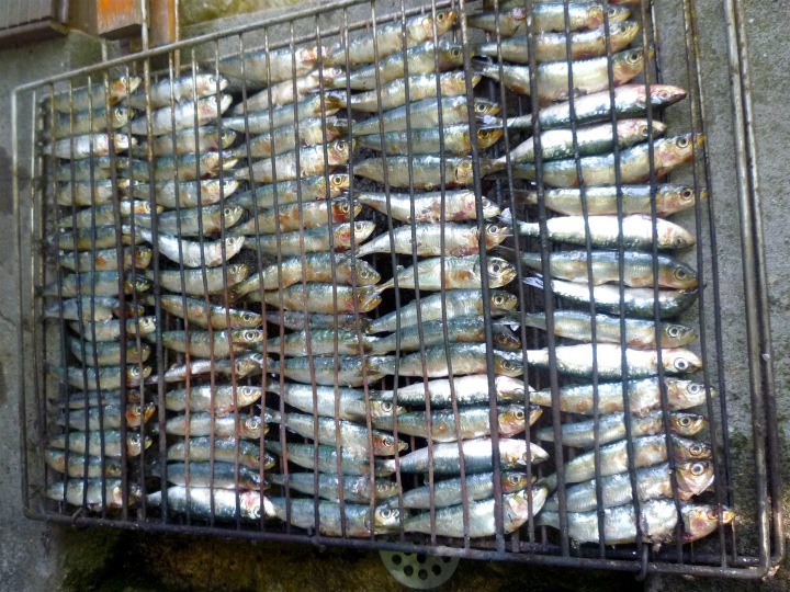 sardines before