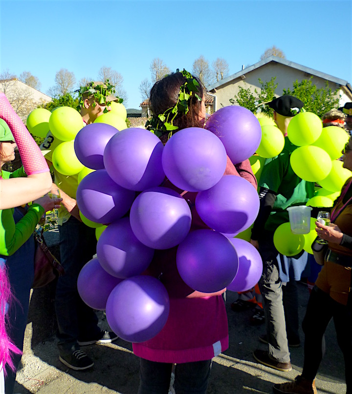 grape costume