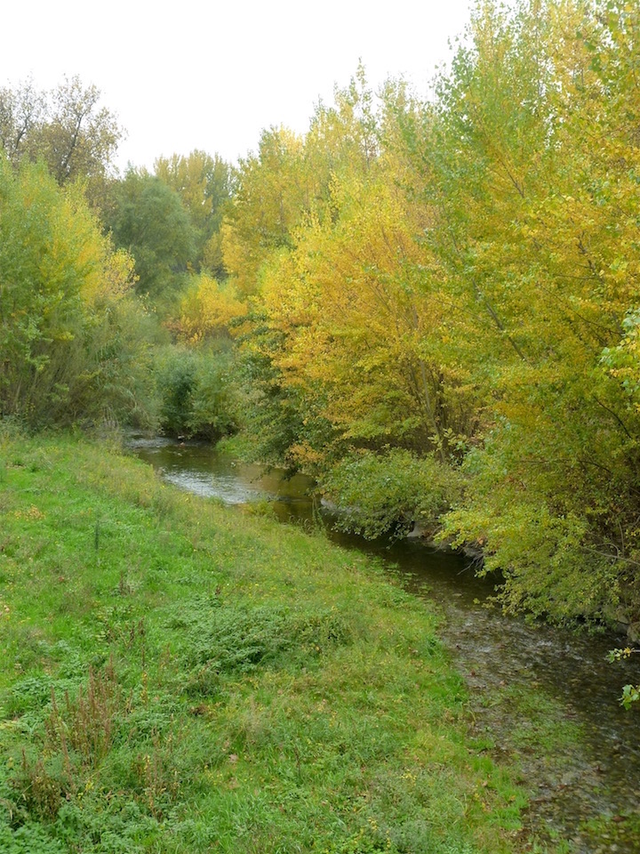 stream in autumn